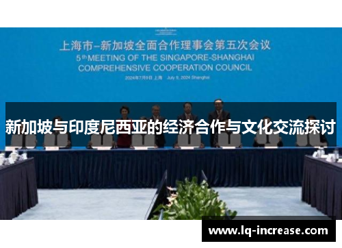 新加坡与印度尼西亚的经济合作与文化交流探讨